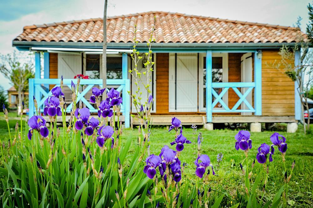 Hotel Domaine De Chadeyron Lagorce  Exteriér fotografie